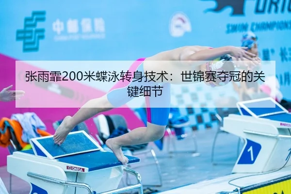 zhang-yu-fei-mi-die-yong-zhuan-shen-ji-shu-shi-jin-sai-duo-guan-de-guan-jian-xi-jie-3-691.jpg