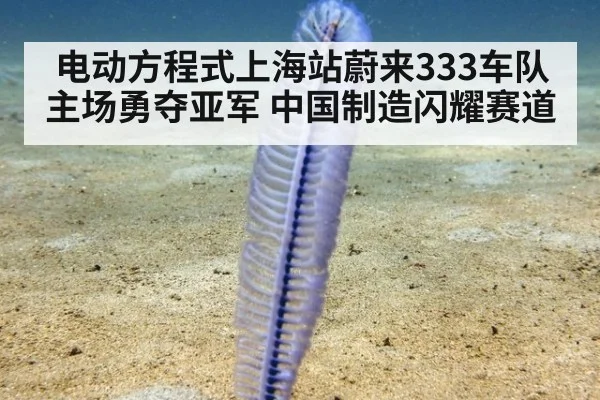 电动方程式上海站蔚来333车队主场勇夺亚军 中国制造闪耀赛道